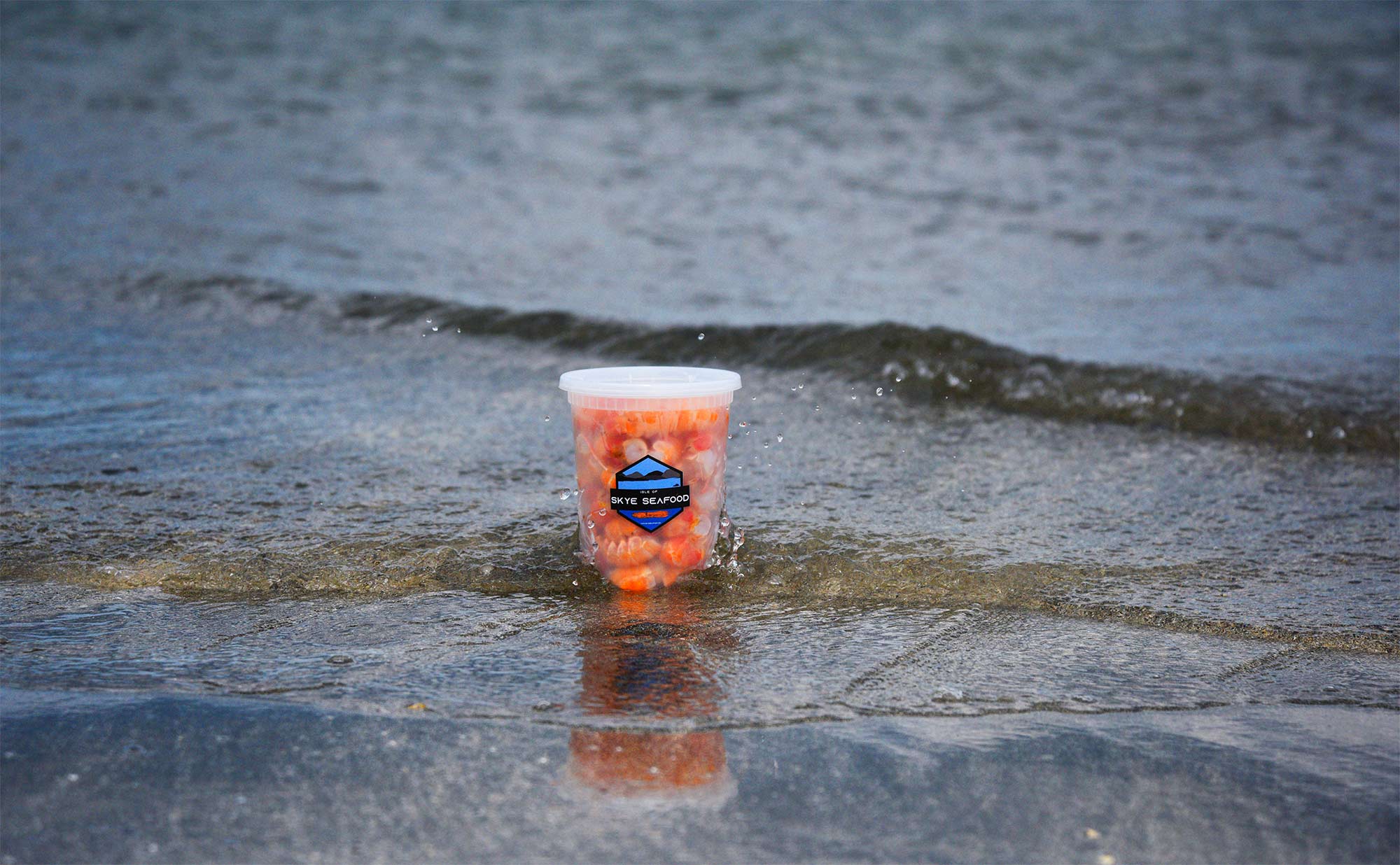 Isle of Skye Seafood Seafood Langoustines from the Isle of Skye freshly Caught