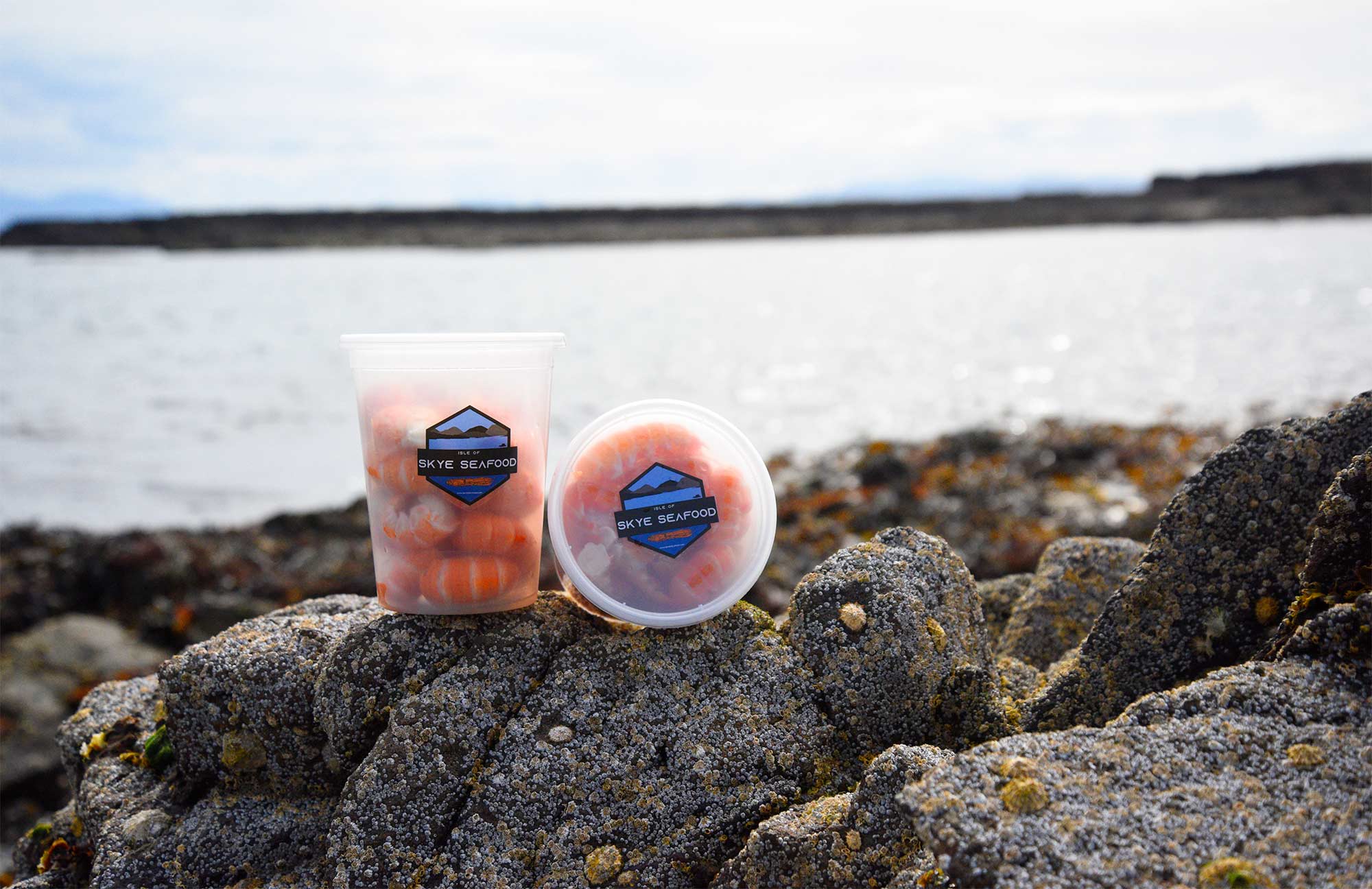 Isle of Skye Seafood Langoustines and Prawn Tails Caught Fresh on the Isle of Skye